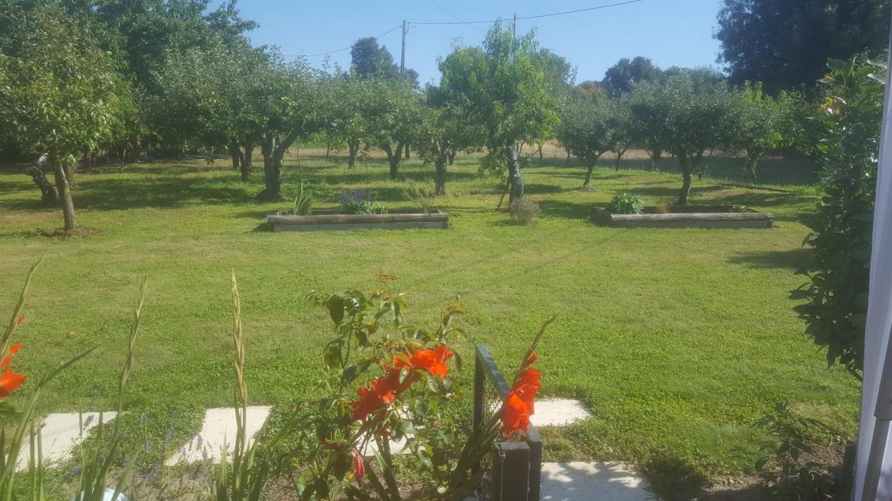 Quinta Do Serrado De Belmonte เบลมอนเต ภายนอก รูปภาพ