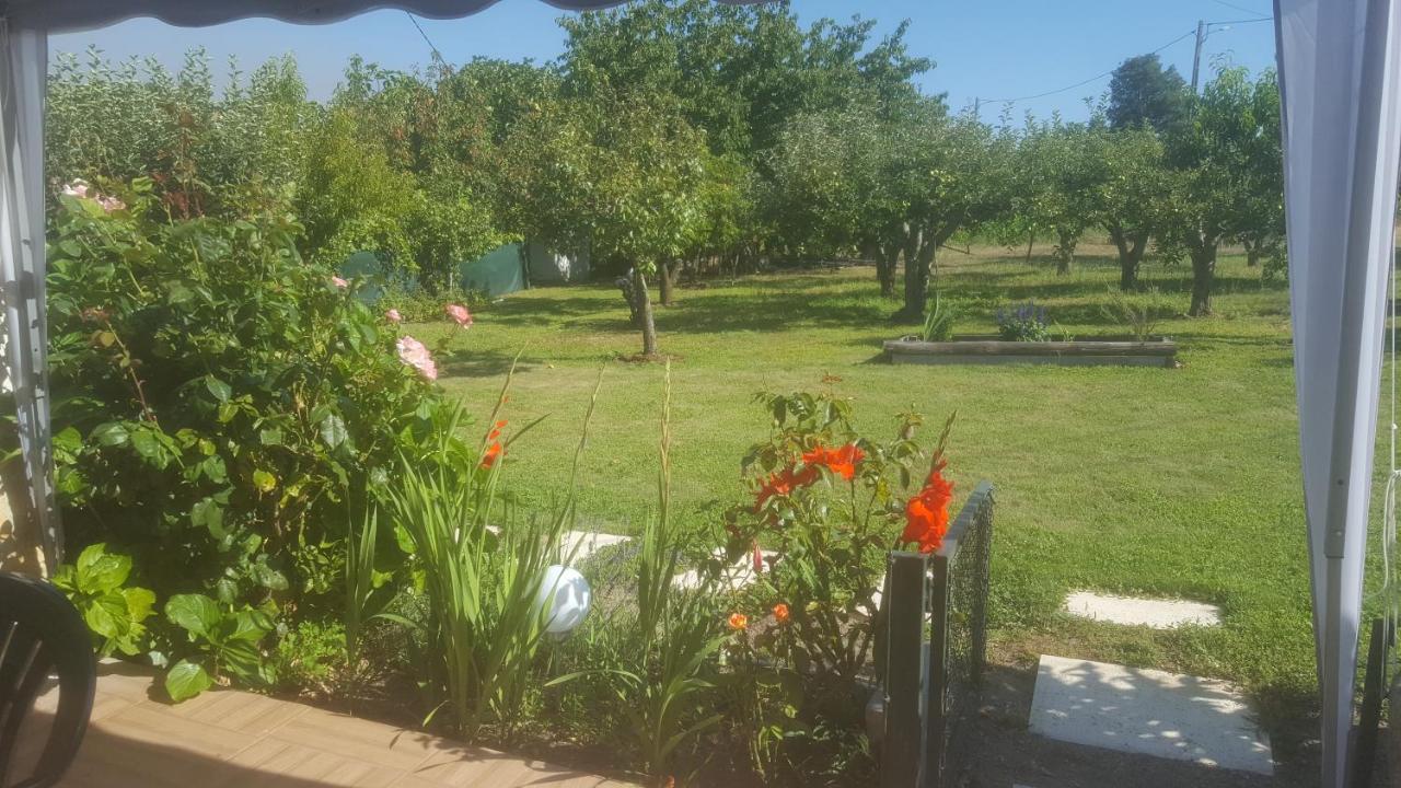 Quinta Do Serrado De Belmonte เบลมอนเต ภายนอก รูปภาพ