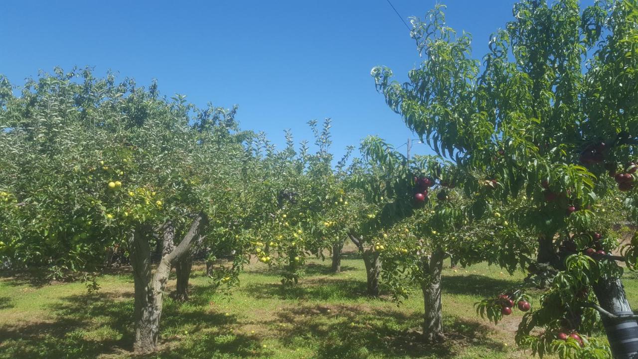 Quinta Do Serrado De Belmonte เบลมอนเต ภายนอก รูปภาพ