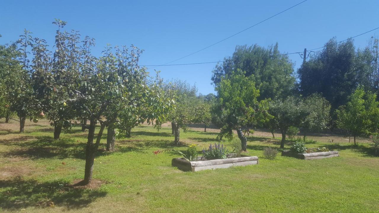 Quinta Do Serrado De Belmonte เบลมอนเต ภายนอก รูปภาพ