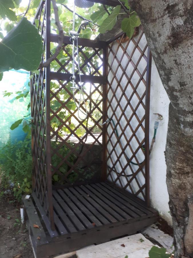 Quinta Do Serrado De Belmonte เบลมอนเต ภายนอก รูปภาพ